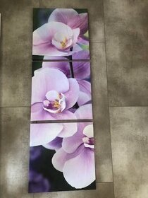 Trojobraz orchidea 39 x 117cm