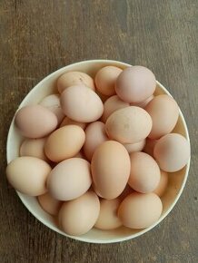 Predám domáce vajíčka čerstvé