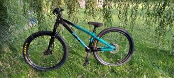 CTM Dirtking Expert