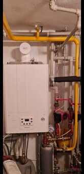 Immergas Victrix Tera 24 Plus