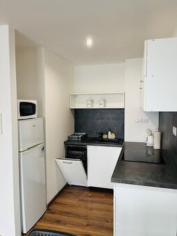 2-IZB. BYT 40m2 NOVOSTAVBA, POVAŽSKÁ ULICA, TERASA