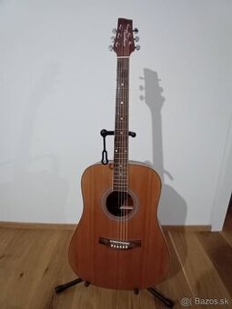 Gitara Pasadena 4/4