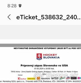 Prípravný zápas Slovensko vs. USA