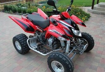 Hledám čtyřkolku Access Tomahawk Max Warrior 300 250 450 400