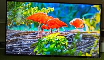 Predám TCL 65DP600 65” 4K ULTRA HD