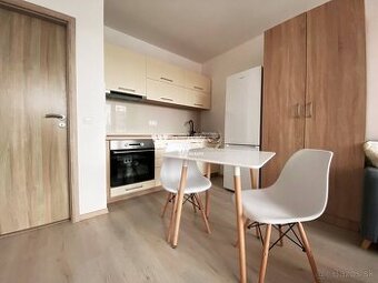 Na prenájom jednoizbový byt s loggiou, kompletná rekonštrukc