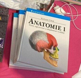 Anatómia Čihák