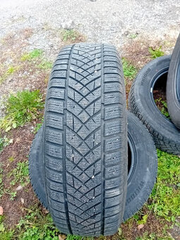 225/65 R17 Zimne