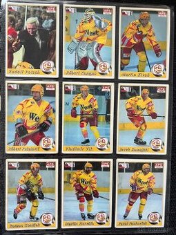 APS karty hokej 95/96