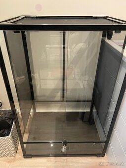Terarium
