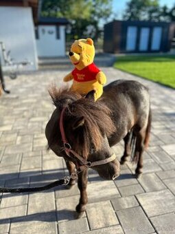 Minishetland