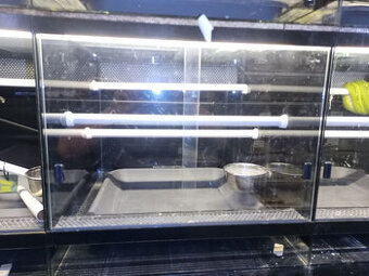 Terarium