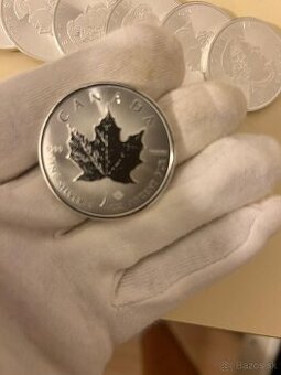 25x1oz Maple Leaf