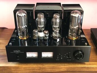 Line Magnetic LM508IA
