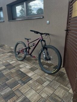 Specialized status160
