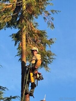 Výrub,Spiľovanie,Opiľovanie,Orez stromov,Arboristika