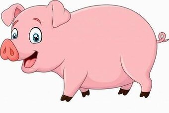 jatočné ošípané