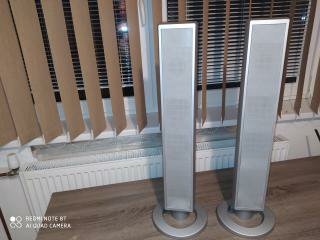 REPRAKI   DOMACE  KINA