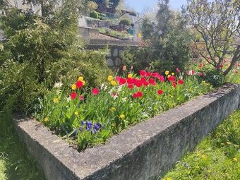 Prenajmem záhradku s pivnicou a skleníkom na Podbrezinách