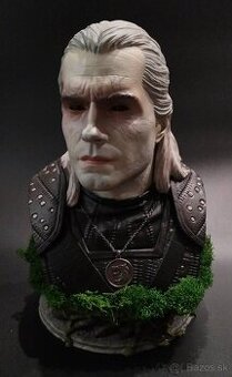 The Witcher/Zaklínač