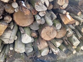 Palivové drevo metrovica