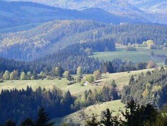 Lakšárska Nová Ves – 2.097 m2 LESY A PÔDA – NA PREDAJ