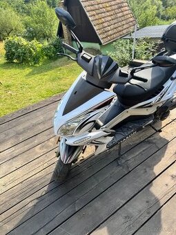 Maxton 125