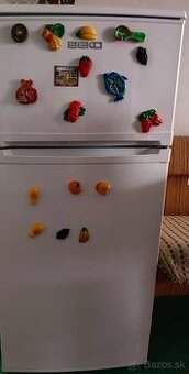 chladnicka s mraznickou