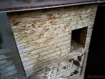 Búda pre veľkého psa