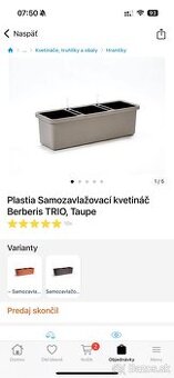 Samozavlažovací trojkvetináč Plastia Berberis TRIO