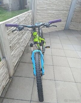Kellys whip