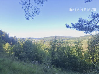 IBA U NÁS Pozemok 1,8 ha na okraji Púchova, Vieska-Bezdedov