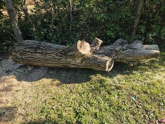 Orechové drevo