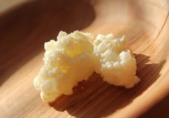 Kefírové zrná, tibetská huba