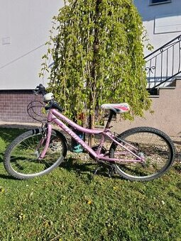 Bicykel