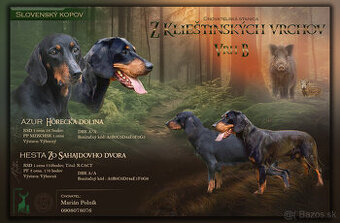 SLOVENSKÝ KOPOV