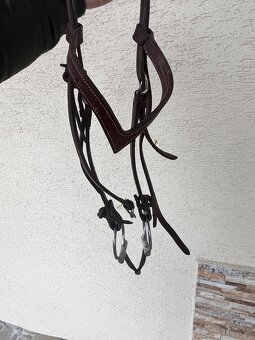 Westernova uzdecka - 1