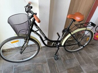 Retro bicykel Freeroad Paris