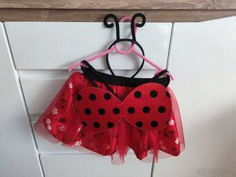 Karnevalový kostým