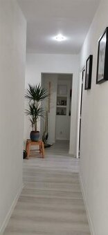 Prenajmem 2,5 izbový byt na Braniskovej ulici v Košiciach