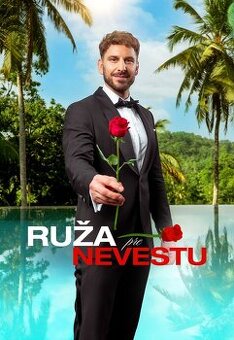 Ruža pre nevestu VIP Košice