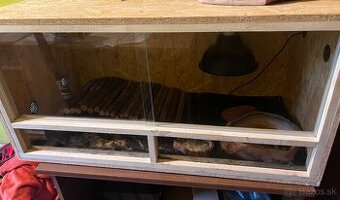 Terarium