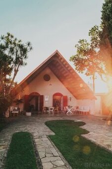House sitting, kosenie, zalievanie kvetov