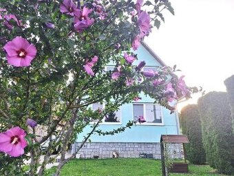 PREDAJ – Rodinný dom s priestranným pozemkom – HUBOŠOVCE