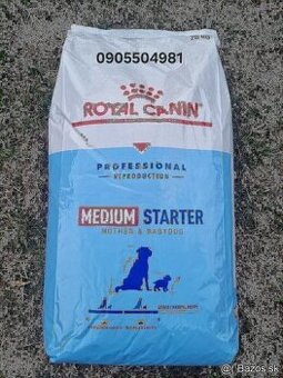 Royal canin medium Starter 20kg francúzsky