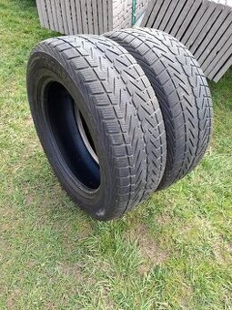 Zimné pneumatiky 225/60 R17