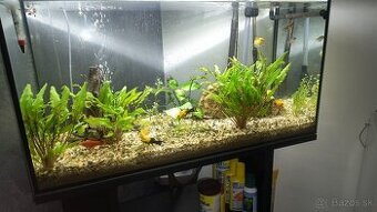 Predám akvarium