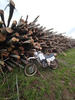 Yamaha XT 600