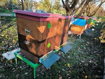 Včelstvo, včely, kompletné príslušenstvo včelára