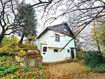 Viničný dom s vinicou Staré Predné Levice